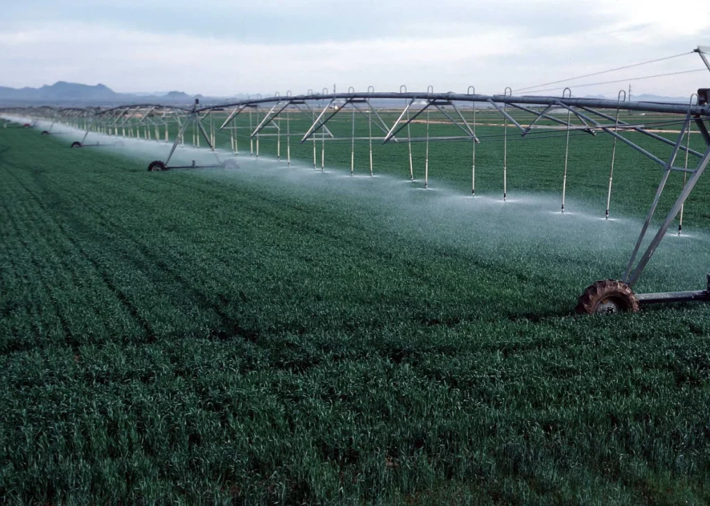 A centre-pivot irrigation system spraying water over a cultivated field
