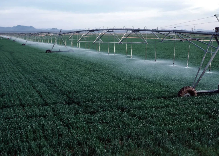 A centre-pivot irrigation system spraying water over a cultivated field
